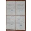 Image 6 : Lot of Four 1960's Pan American Sulphur Company 100 Shares Stock Certificates 