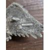Image 2 : (4) Harley Davidson Belt Buckles - Eagle Buckle is Pewter
