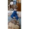 Image 5 : JFK  - Vintage Kennedy Historical Lot As Shown Including JFK Jr Dolls - RARE  Velvet Picture