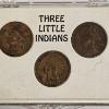 Image 2 : Vintage Three Little Indians Indian Head Penny Coin Collection Set