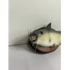 Image 3 : 2000 Gemmy Cool Catfish - Wall Hanging Singing Catfish- In Good, Working Condition! 