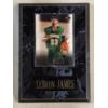 Image 1 : LeBron James Upper Deck St. Vincent Head of the Class Card Mounted on a Plaque