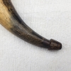 Image 4 : Vintage Black Powder Horn with Wooden Plug & Spout – Approx. 9"
