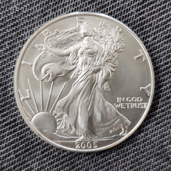 United States 2005 Silver 1 Oz American Eagle Round ~ Uncirculated in Great Condition!