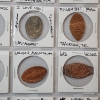 Image 10 : Two Binder Pages of Assorted Pressed Pennies From Various Landmarks