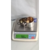 Image 9 : Sterling Silver Lunt & Webster Cups - Total Weight: 76.6g