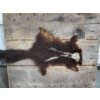 Image 2 : Skunk Hide on Wooden Display Board