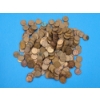 Image 1 : Lot of Approx. 300 Assorted Lincoln Wheat Pennies