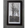 Image 1 : Colored Etching by Susan K Yocum - "Trees" - 9.5"x15.75