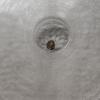 Image 2 : 1336-1646 India Vijayanagara Bele Worlds Smallest Gold Coin Encapsulated By ICG