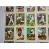 Image 7 : Near Mint 1980's San Diego Padres Topps Tiffany Baseball Trading Cards - All in Card Sleeves