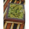 Image 1 : Antique Picture Album With Mostly Cabinet Photos & Some Tin Types