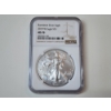 Image 1 : NGC MS70 2019-W Burnished Silver Eagle 1 oz .999 Fine Silver 