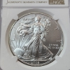 Image 2 : NGC Graded MS69 2009 American Silver Eagle 1 oz .999 Fine Silver 