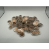 Image 1 : Unsearched Lot of Pennies in Plastic Cases - Including State Embossed - About 100 Pennies