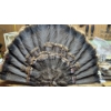 Image 3 : PICKUP IN CANTON - TURKEY FEATHER DISPLAY - SET OF 2 - ONE RACK - INTERCHANGEABLE AS SHOWN