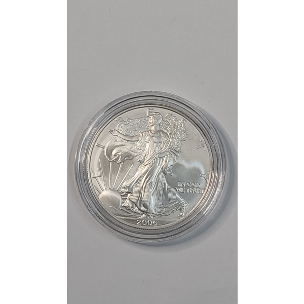 United States 2006-W One Troy Ounce .999 Fine Silver American Eagle In Coin Capsule