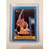 Image 1 : 1987 Topps WWE Hulk Hogan American Made Wrestling Card - Mint Condition In Protective Holder