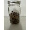 Image 1 : 597 UNSEARCHED United States Lincoln Wheat Pennies In Ball Wide Mouth Jar - Excellent Condition