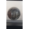 Image 9 : 2019 Barbados Spherical Moon 50th Anniversary Apollo 11 Lunar Landing 1 Troy Oz .999 Silver Coin 