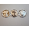 Image 2 : American Eagle 20th Anniversary Silver Coin Set: (3) 2006 1oz Silver Eagles!