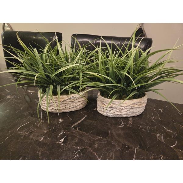 Two Perfect Faux Spider Plants And 2 Pretty Pier 1 Matching Vases