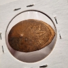 Image 7 : Four Rolled Penny Souvenir Coins Ft. Cleveland Ohio, London Aquarium, State Park in Canada & Zoo