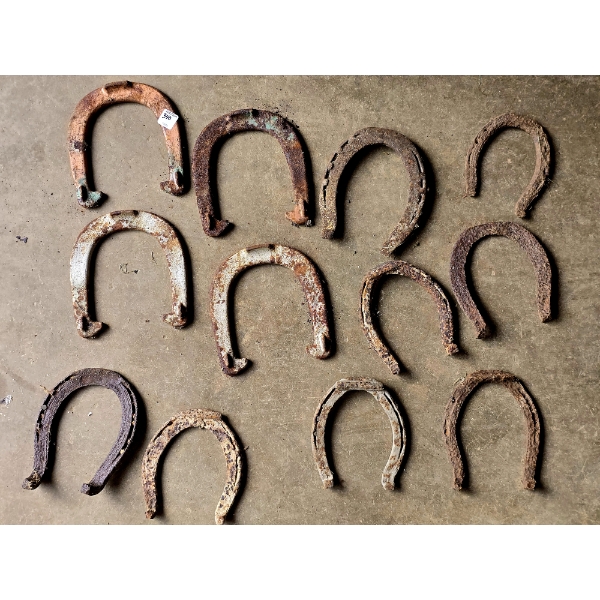 12 Antique and Vintage Horse Shoes
