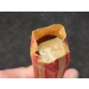 Image 2 : Uncounted & Unsearched Roll Of Wheat Pennies Labeled "1942 Older" 