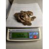 Image 1 : Lot of Assorted Wheat Pennies (506g) - AFV: $1.62 (estimated by weight)