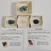 Image 1 : Vintage Mineral Display Collection ft. Wavellite , Obsidian, Quartz, Hematite, and MORE!!!