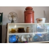 Image 1 : Metal Cabinet w/ Glass Door including Contents