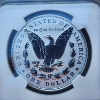 Image 4 : NGC 2024-S Morgan Silver Dollar Official US Mint Set Two-Coin Reverse PF 70