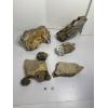Image 1 : Crate of Geodes & Rock Clusters - Mineral Specimens