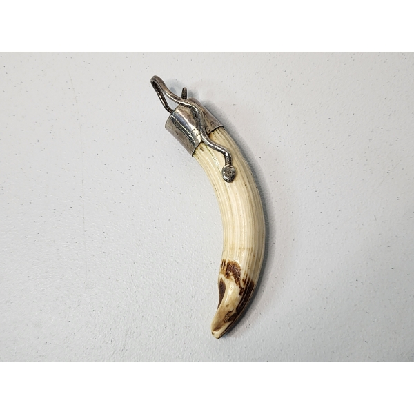 Collectible 7" Horn/Tusk With Sterling Silver Accents