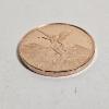 Image 2 : Mexican Libertad Design 1 Ounce .999 Fine AVDP Copper Element Round