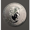 Image 2 : 2019 Royal Canadian Mint 1/2 Oz .9999 Fine Silver Polar Bear Coin
