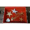 Image 4 : Lot Of Assorted Shell/Beach Themed Jewelry & Shell Trinket Box