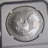 Image 4 : NGC MS70 Graded 2003 Silver 1 Oz American Eagle 