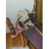 Image 3 : Antique Original Flax Wheel In Ex Condition - 34 x 37T (Wheel 27" Diam)