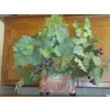 Image 1 : Home Decor leafy Decorative Plant As Shown