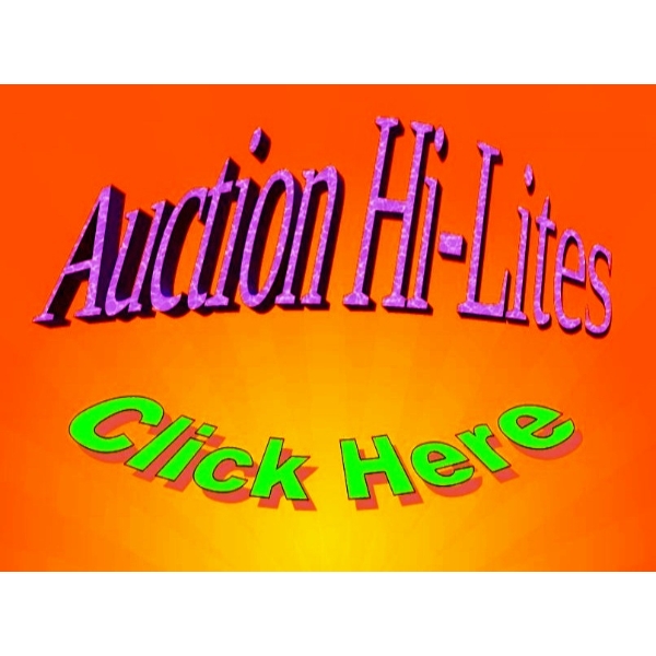1 Information Only - Auction Sample Pictures & Auction Introduction