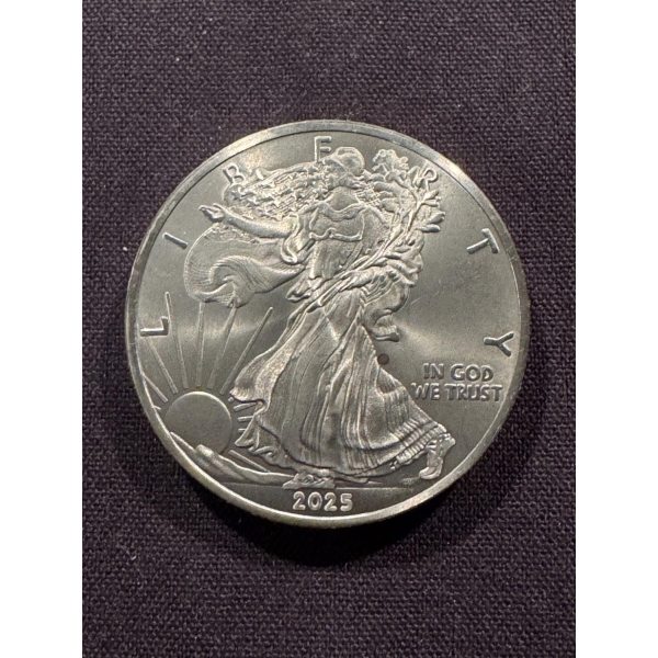 2025 Walking Liberty .999 Fine Titanium 1 Troy Ounce Coin - Mint Condition - Exceptional Coin