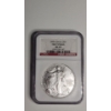 Image 1 : NGC 2005 MS 69 First Strikes 1 Troy Ounce .999 Fine Silver American Eagle