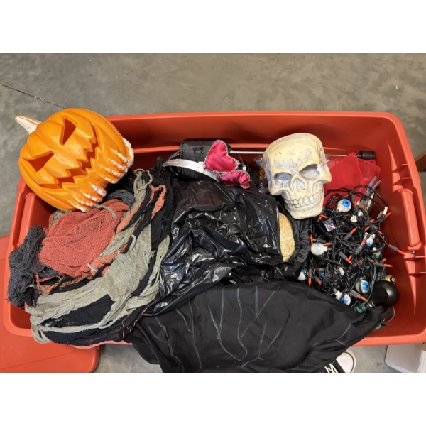 Tote of Miscellaneous Halloween Items/Costumes - Skulls - Skeletons - Pumpkins - Lights - Scarecrow 