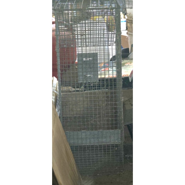 Very Large Critter Trap for Coyotes
