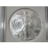 Image 2 : 2006-W Burnished Planchet American Silver Eagle - 1 oz .999 Fine Silver - FDOI - IGS MS70