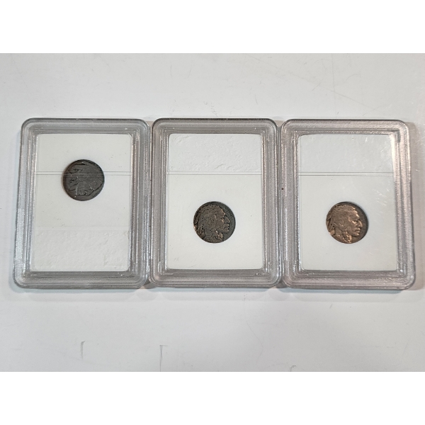 Three Unknown Years U.S. Buffalo Nickels in Slabs