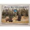 Image 1 : 2005 American Bison Nickel Collection - 5 Coin Set - Mint Condition - Exceptional Set