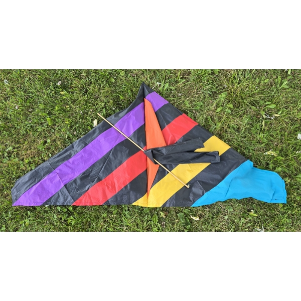 Kite